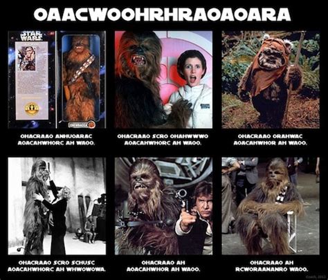 chewbacca-meme