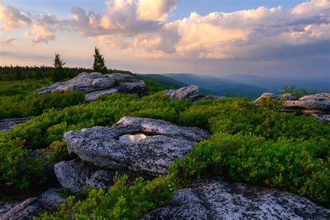 June Vista from Bear Rocks Preserve. | Dolly Sods Wilderness, West ...