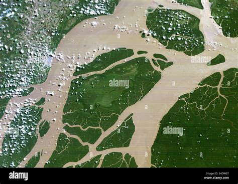 Amazon River Delta From Space