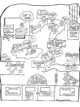 38 cell factory analogy worksheet - Worksheet Online