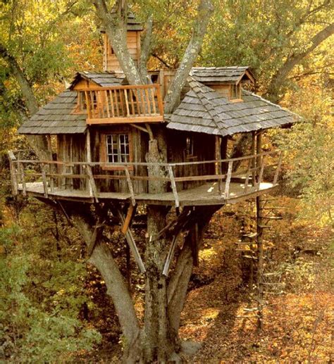 Tree Houses! From The Past Into The Future • Insteading