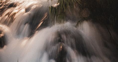 Waterfall on River in Forest · Free Stock Photo