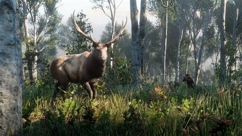 Red Dead Redemption 2 Legendary Animals, Train Tickets, and Hitchhiking Detailed