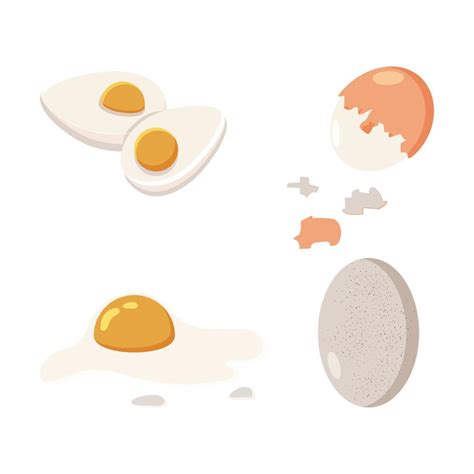 Set of chicken eggs 12979047 Vector Art at Vecteezy