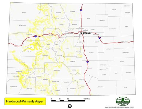 Hardwood | Primarily Aspen | Colorado State Forest Service | Colorado State University