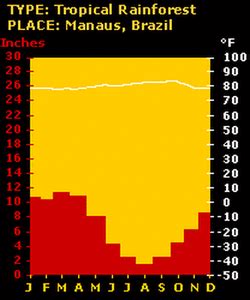 Climatogram - Tropical Rainforest Biome