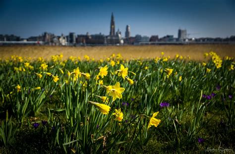 Spring in Antwerp, Belgium
