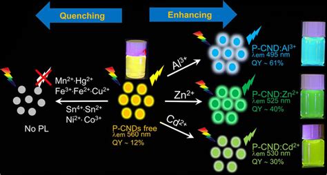 A scheme illustrating the enhancement and quenching of the fluorescence... | Download Scientific ...