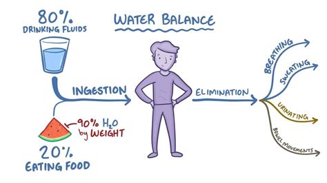 Explain the Different Types of Dehydration - Aryana-has-Meyer