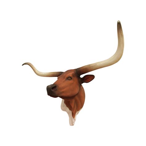 Longhorn Bull Head