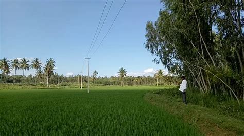 Agricultural land for sale - YouTube