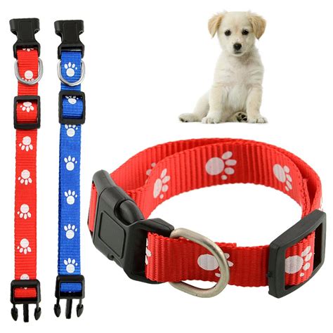 Best Flea Collar for Dogs: Stop The Scratching! | HerePup!