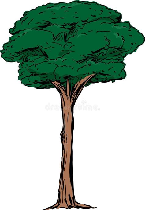 Isolated Tall Tree Stock Illustrations – 6,940 Isolated Tall Tree Stock ...