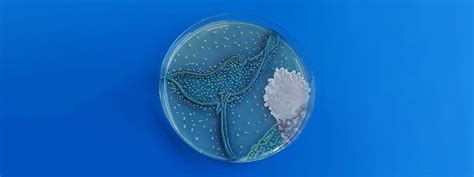 Stunning “agar art” grows pictures with bacteria and fungi