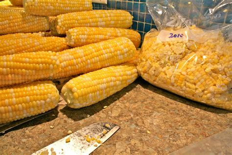 Freezing Sweet Corn on the Cob - Michelle Pendergrass Michelle Pendergrass