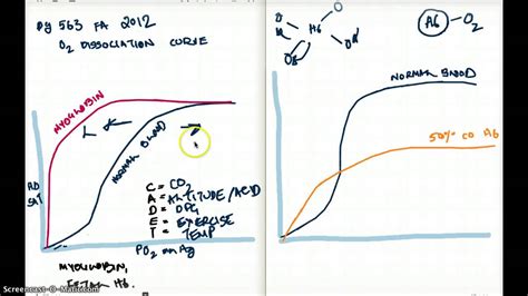 563 FA 12 :OXYGEN DISSOCIATION CURVE AND CARBOXYHEMOGLOBIN - YouTube