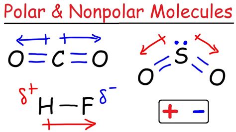 Polar vs Nonpolar Molecules | 2.4K plays | Quizizz