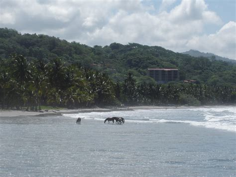 Samara Beach Costa Rica | Samara Beach, Costa Rica in front … | Flickr