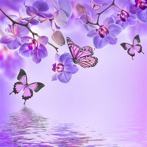 Purple Butterfly & Orchid Flowers Wall Mural Wallpaper WS-42382 | eBay