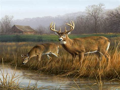 Deer Hunting Backgrounds - Wallpaper Cave