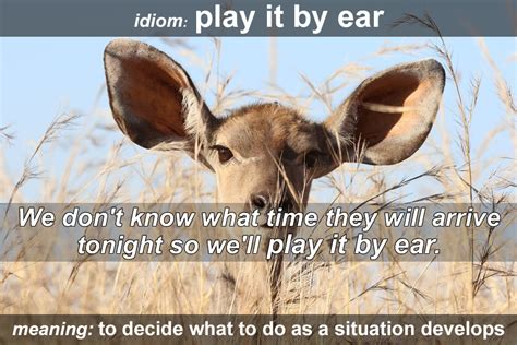 Idiom - Play it by ear - Funky English