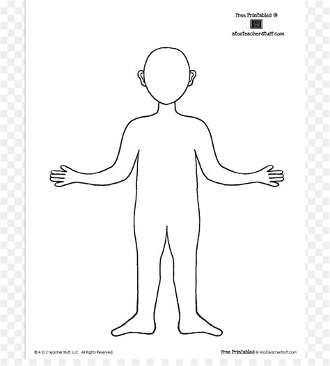 Body Template For Drawing