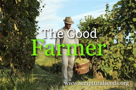 August 24th 2018 – The Good Farmer | Scriptural Seeds Ministries