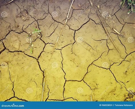 Soil Brown Dirt Road Texture Stock Image - Image of land, pattern: 96833859