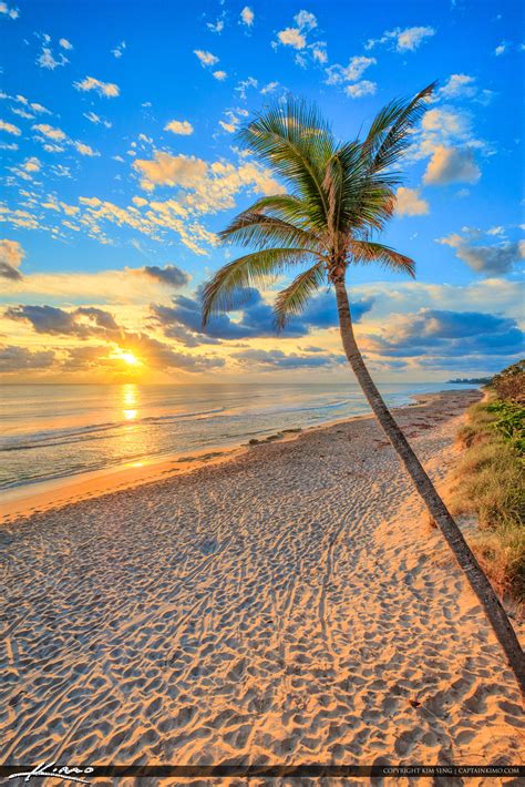 Jupiter Beach Resot Sunrise Coconut Tree at Beach | HDR Photography by Captain Kimo