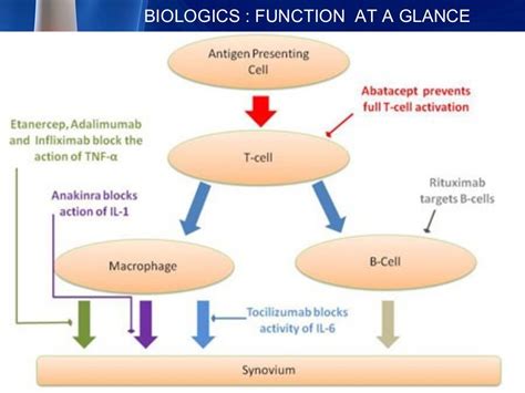 BIOLOGICS IN RHEUMATOID ARTHRITIS