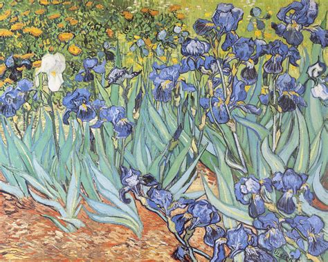 Irises in the Garden Art Print by Vincent Van Gogh | King & McGaw