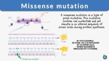 Missense mutation Definition and Examples - Biology Online Dictionary