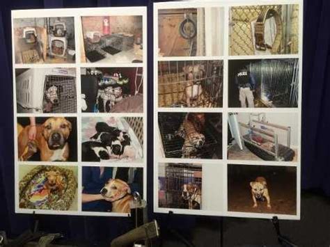 Images: City police bust dog fighting ring