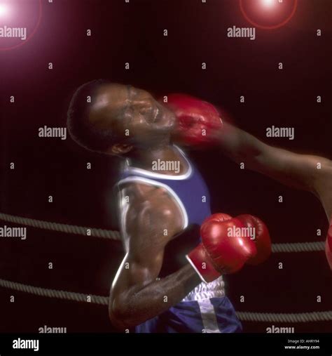 A boxing knockout punch in close up Stock Photo - Alamy