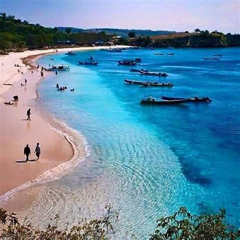 Pink Beach, Lombok Asia Places, Places To Travel, Places To Visit, Lombok, Pink Beach, Singapore ...