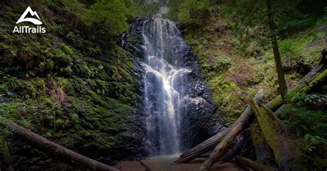 Best Trails in Big Basin Redwoods State Park | AllTrails.com