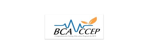 CCEP 2024 – BCA REV