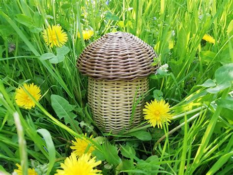 MUSHROOM wicker baskets with lid food storage basket nursery | Etsy