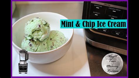 Ninja Kitchen System Ice Cream Recipes | Wow Blog