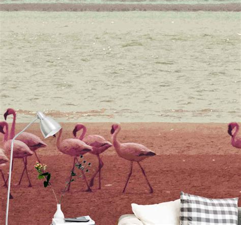 Flamingo walking on the beach living room mural - TenStickers