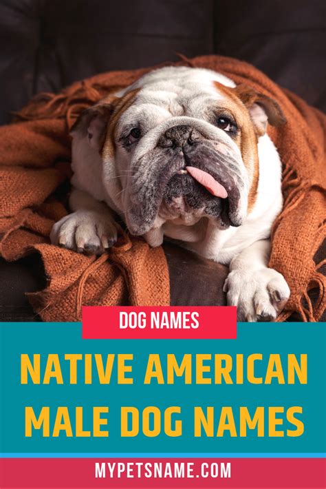 Native American Male Dog Names | Dog names, Native american dog ...