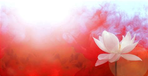 Lotus Flower Background - WallpaperSafari