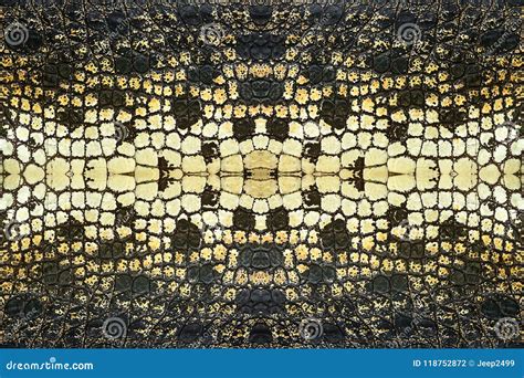 Crocodile Skin Pattern for Background. Stock Photo - Image of architecture, crocodile: 118752872