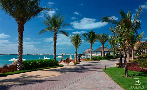 Sofitel The Palm Jumeirah Dubai - Beach Pool Access, Brunch