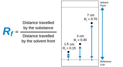 Retardation factor - Labster