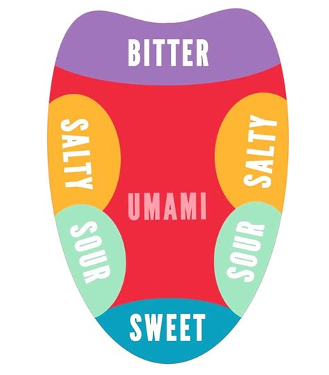 Q&A: How Does the Shape and Style of Glass Affect the Taste of Wine?