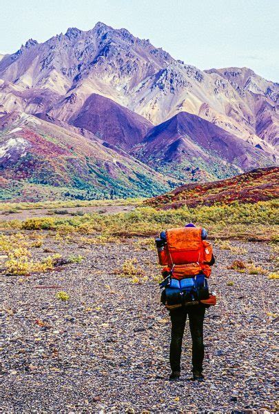 Hiking in Denali National Park - Denali Guidebook