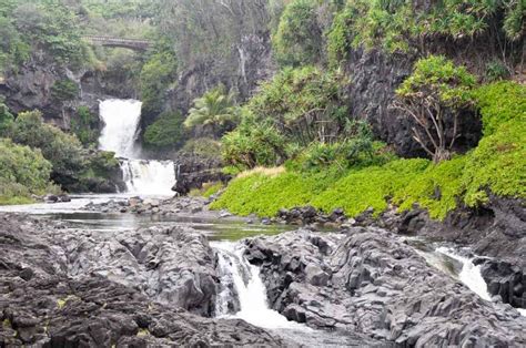 Bamboo Forest, Maui: Your Best Guide to Hikes on The Road to Hana in 2024 - Love and Road