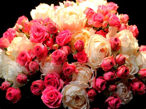 Bouquet fleurs rose, rouge et blanc Fonds d'écran | 2560x1920 Fond d'écran télécharger | FR ...