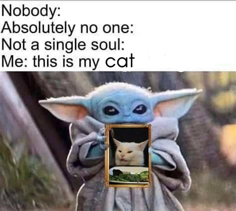 Baby Yoda Cat Meme - FACEinHOLE